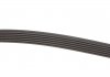 Ремінь Gates 6PK2520 (фото 3)