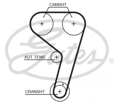 Пас ГРМ з довжиною кола понад 60 см, але не більш як 150см Gates T354HOB (фото 1)
