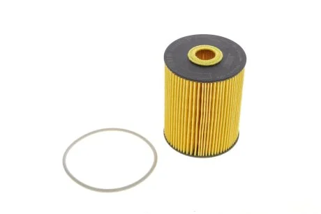 (HENGST) HENGST FILTER E1001H D28