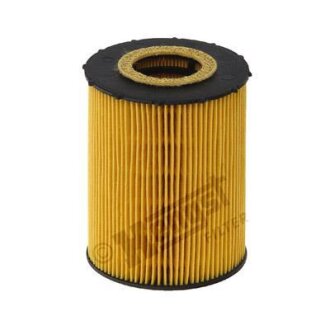 (HENGST) HENGST FILTER E203H04 D67