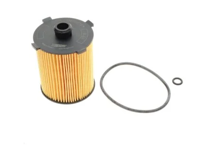 (HENGST) HENGST FILTER E217H D310