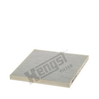 (HENGST) HENGST FILTER E2925LI