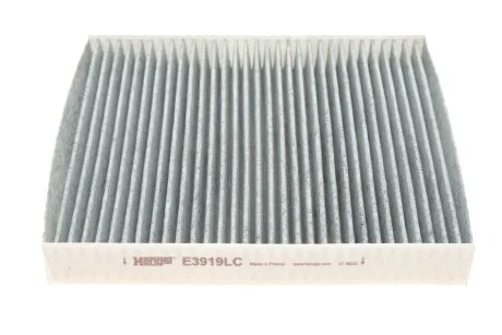 (HENGST) HENGST FILTER E3919LC