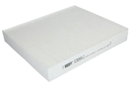 (HENGST) HENGST FILTER E3919LI