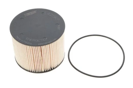 (HENGST) HENGST FILTER E425KP D219