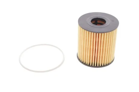(HENGST) HENGST FILTER E44H D110
