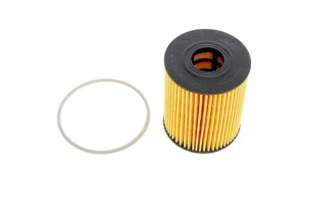(HENGST) HENGST FILTER E60H D110