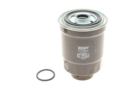 (HENGST) HENGST FILTER H17WK09