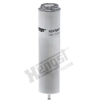 (HENGST) HENGST FILTER H247WK01