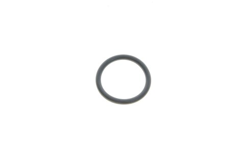 Фото кільце ущільнювальне патрубка охолодження Hyundai/Kia/Mobis 2546221010 Кільце ущільнювальне патрубка охолодження Hyundai/Kia/Mobis 2546221010