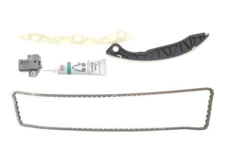 Комплект ГРМ Ланцюг INA 559180020