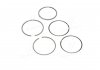 RINGSET OPEL 75,500 KOLBENSCHMIDT 800020310050 (фото 4)