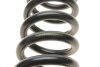 Пружина LESJOFORS 4256824 (фото 3)
