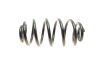 Пружина LESJOFORS 4263458 (фото 3)