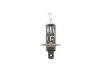 Лампа розжарювання H1 12V 55W LL MAGNETI MARELLI 002531100000 (фото 1)