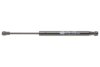 Амортизатор кришки багажника MAGNETI MARELLI 430719100700 (фото 1)