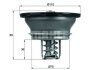 Mahle - Термостат MAHLE / KNECHT THD 3 82 (фото 1)