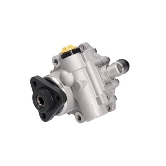 Насос ГУР новий Skoda Superb 01-08, VW Passat B5 96-05, BMW X5 E53 00-07 MSG BW015