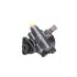 Насос ГУР відновлений Fiat Palio 96-20, Fiat Bravo 95-01, Alfa Romeo 145 96-01 MSG FI008R (фото 1)