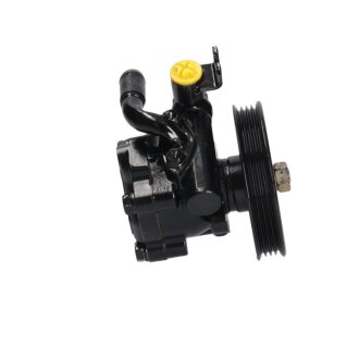 Насос ГУР новий Renault Vel Satis 02-09, Nissan Maxima A32 94-00, Nissan Maxima A33 00-06 MSG NI001