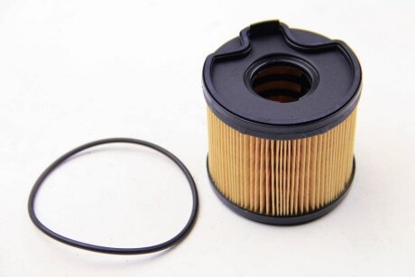 OE PEUGEOT-CITROEN-Паливний фільтр Peugeot/Citroen 1906C5