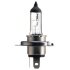 HS1 Vision Moto 12V 35/35W PX43t PHILIPS 12636BW (фото 2)