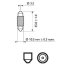 Festoon T10,5X38 12V 10W SV8,5 PHILIPS 12854CP (фото 3)