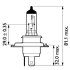 H4 MasterDuty 24V 75/70W P43t-38 Blst. 1 pc. PHILIPS 13342MDB1 (фото 3)
