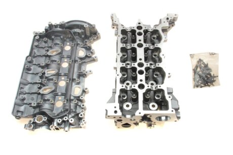 Головка блоку двигуна RENAULT 110415059R