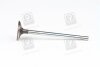 Клапан впускний 2.0XDI 16V, 2.7XDI 20V Rexton 06-12, Kyron 05-11, Actyon 06-11 SSANGYONG 6650530401 (фото 1)