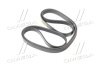 Ремінь поліклиновий приводний Actyon 06-11, Rodius 07-13 SSANGYONG 6659970392 (фото 2)