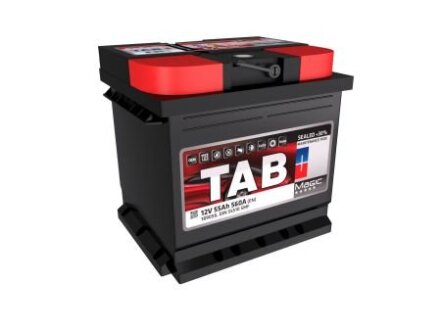 55 Ah/12V Magic (0) Euro TAB 189 058