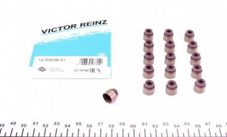 Сальник клапана (впуск/випуск) (к-кт) Renault Kang VICTOR REINZ 125303601 (фото 1)