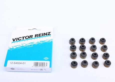 Сальник клапана (впуск/випуск) (к-кт) Toyota RAV 4 VICTOR REINZ 125402401