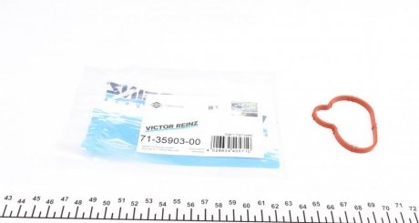 Прокладка впускного колектора Citroen Jumpy/Peugeo VICTOR REINZ 713590300